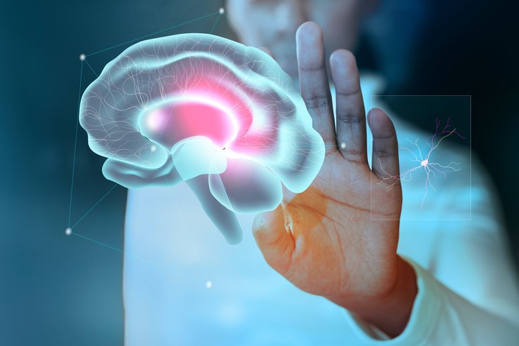 Imagem digital de um mão estudando o cérebro humano